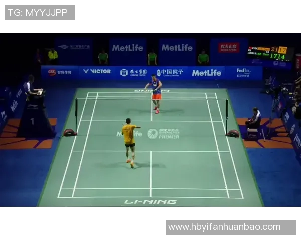 赵丽独家揭秘羽毛球技巧与心得分享助你提升球技的秘密宝典