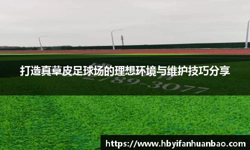 打造真草皮足球场的理想环境与维护技巧分享